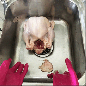 Wad of fat removed from chicken cavity.