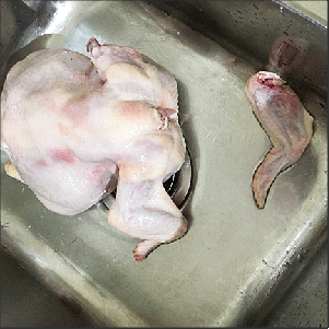 One wing removed at the elbow joint; chicken is lying on its breast, with its back uppermost.