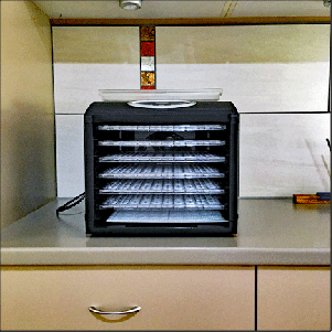 Six-tray food dehydrator, front view.