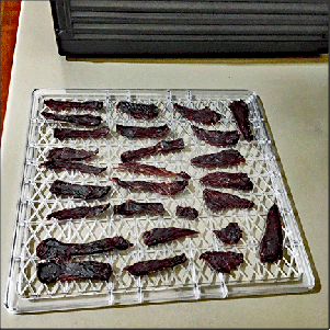 Slices of dried beef jerky on dehydrator tray after drying.