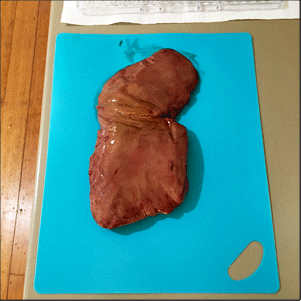 Raw whole lamb liver, ready for slicing.