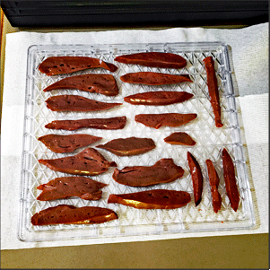 Slices of raw lamb liver on a dehydrator tray, ready for drying.