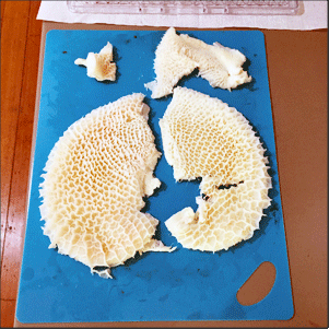 Beef tripe (in this photo, the reticulum), opened to show the honeycomb-like lining.