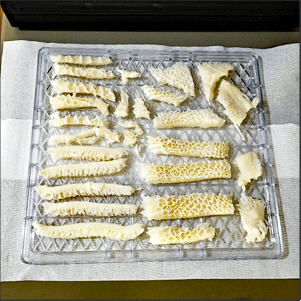 Slices of raw beef tripe on food dehydrator tray.