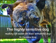 The Highly Sensitive Dog e-book cover