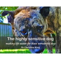 The Highly Sensitive Dog e-book cover